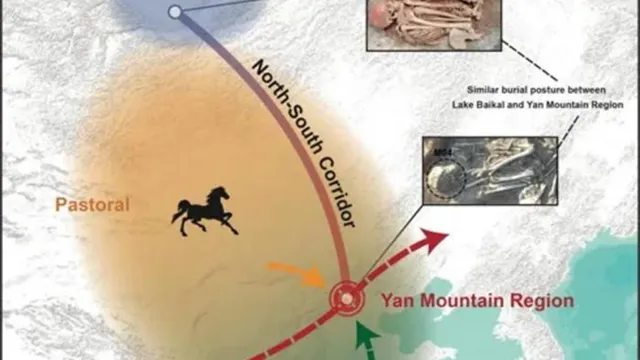 Ancient DNA reveals critical link between Siberia and northern China