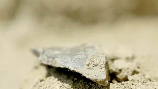 Ancient tools discovered in Kenya challenge human evolutionary timeline
