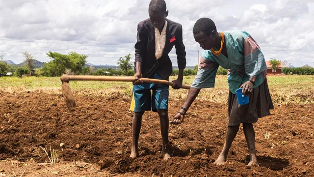 Uganda faces severe food crisis as starvation claims lives