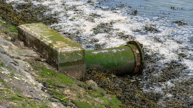 Welsh Water to pay £44.7 million for unacceptable sewage operations
