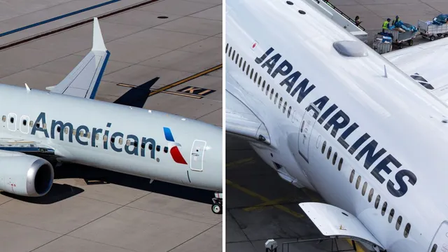 Reddit user highlights stark contrast in airline meal service between Japan and America