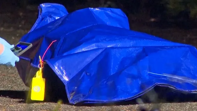 Police end homicide investigation after lifelike doll found in suitcase