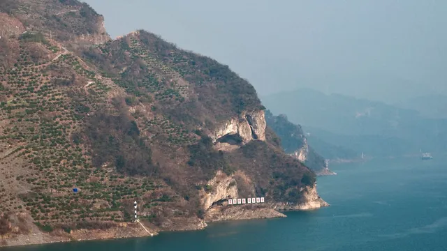 Puppy Mountain photo captivates millions in China