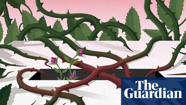 More people than ever voted in the 2024 elections, but did democracy survive?