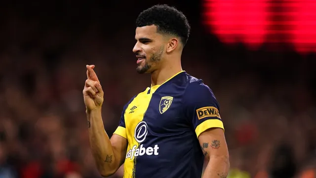 Les Ferdinand says Dominic Solanke can help Tottenham