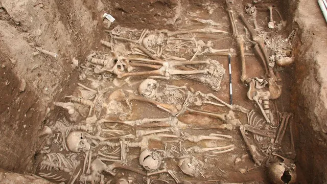 Researchers find mass grave of Black Death victims in Germany