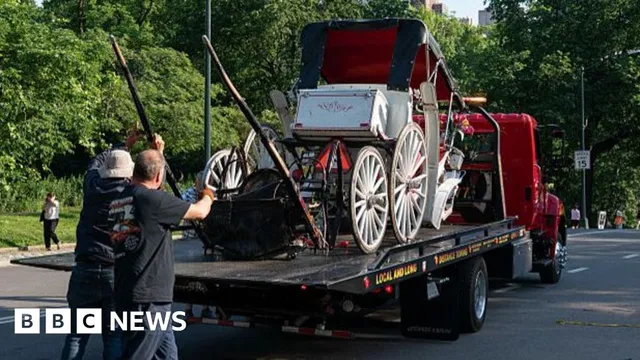 Teenager dies after horse-drawn carriage accident in New York City