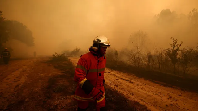 Spain declares national emergency as wildfires rage across the country