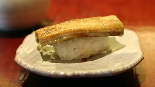 Japan and US resist eel trade protections as populations plummet