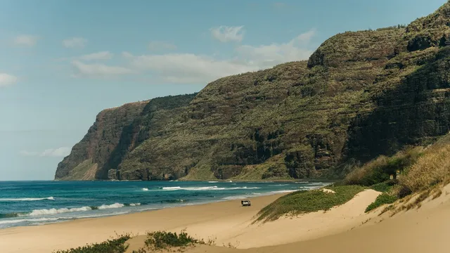 Navy sailor dies saving son from drowning in Hawaii