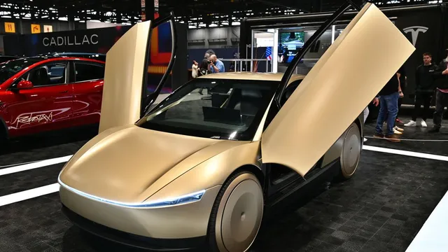 Tesla builds wheelchair-accessible robotaxi for future mobility
