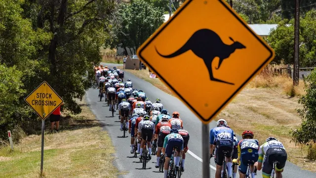 Jay Vine triumphs in Tour Down Under despite kangaroo crash