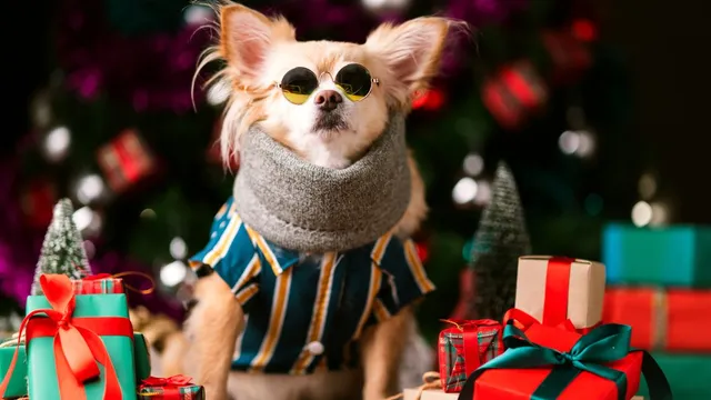 Researchers recognize vital contributions of unsung heroes in science