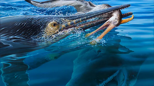 Ichthyosaurs consumed pterosaurs in ancient Australia
