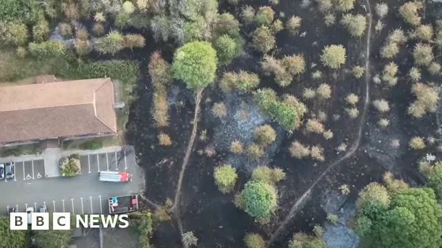 Firefighters face chaos as drones disrupt wildfire operations