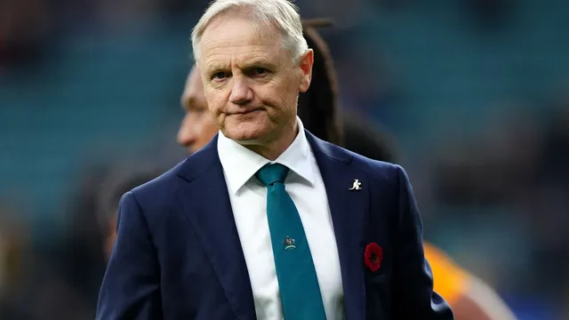 Joe Schmidt announces departure as Australia head coach