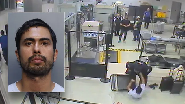 Canadian man pleads guilty after assaulting TSA agents at Miami airport
