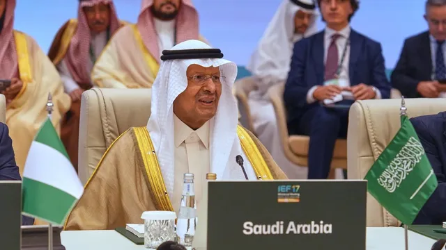 Turkey, Pakistan, Egypt, and Saudi Arabia condemn Houthi attacks on Riyadh airport