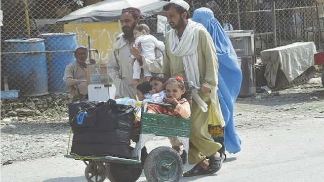 Hundreds of Afghan nationals voluntarily repatriated during ongoing operation