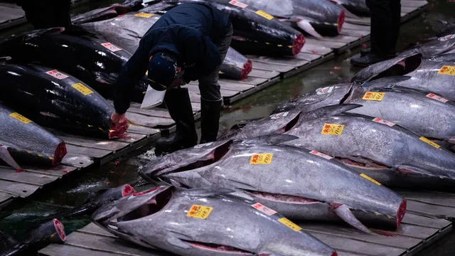 Kiyoshi Kimura sets record buying bluefin tuna for $3.2 million