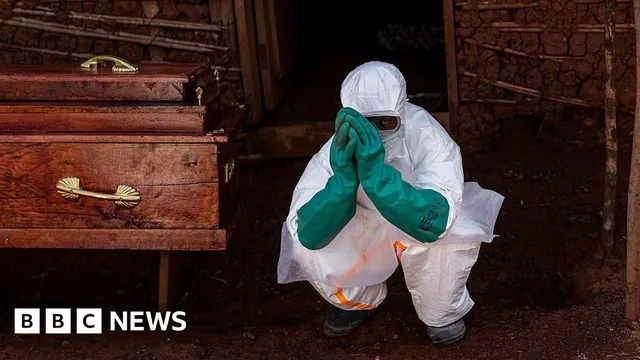 Ebola outbreak prompts urgent vaccine development by IAVI, Moderna, and Oxford
