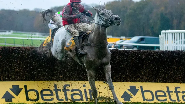 Harry Redknapp's dream hinges on The Jukebox Man in Gold Cup