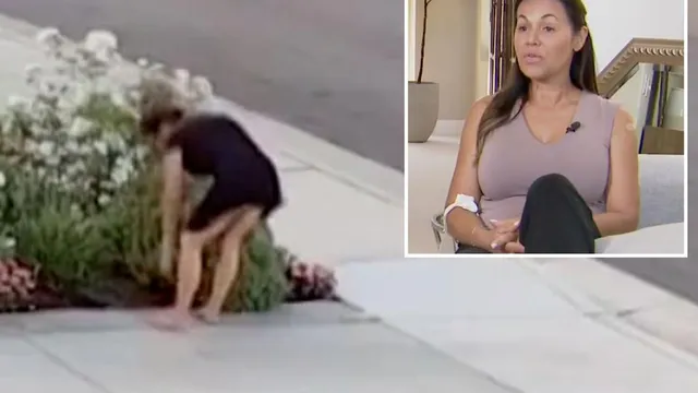 Woman hospitalized after rattlesnake bite in California garden