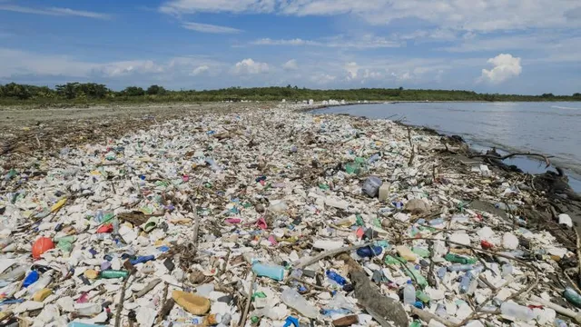 Rolex and CNN Collaborate on Sustainability Initiative