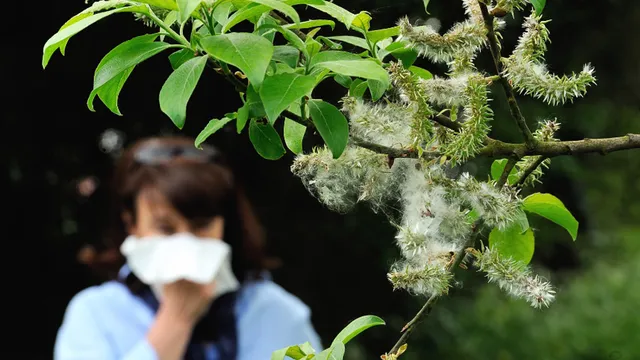 Allergy sufferers face early challenges as symptoms worsen this spring