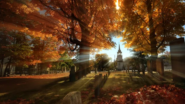 Midwest Fall Foliage: A Vibrant Display Awaits Leaf Peepers