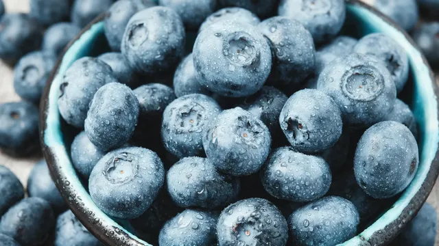 FDA warns of deadly E. coli in frozen blueberries