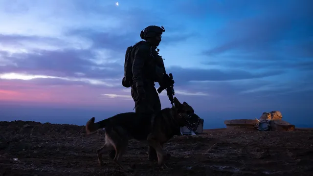 Ten Syrians killed in clashes with Israeli forces in Golan Heights