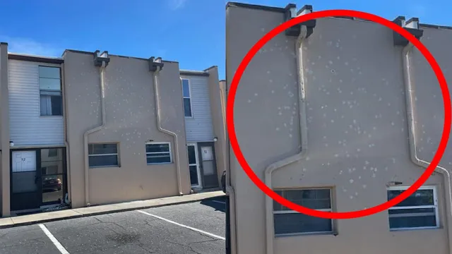 Man killed by deputies after firing gunshots from Airbnb