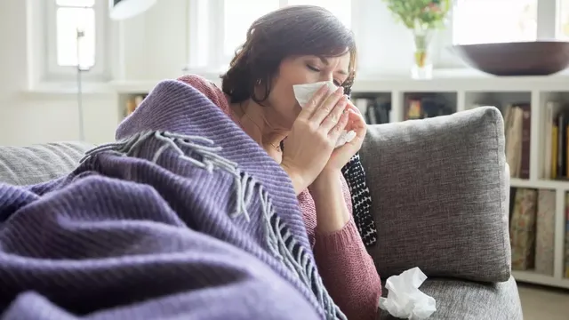 Deadly Oropouche Virus Spreads in Europe