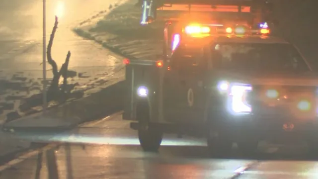 Tree falls on SUV, killing elderly woman during storm in Delaware