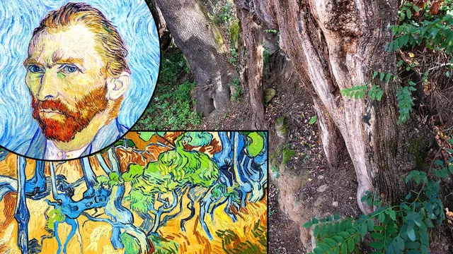 Mayor loses court case over Van Gogh's last painting site