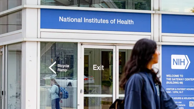 NIH cuts threaten advancements in brain disease research
