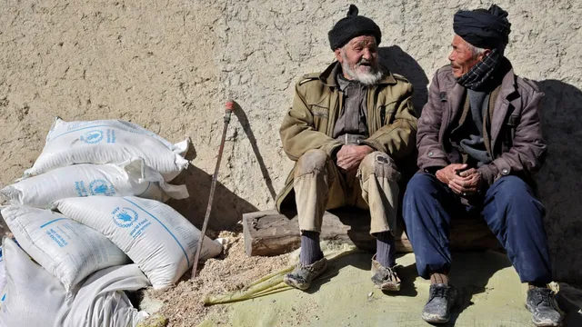 Afghanistan's hunger crisis plunges millions into despair amid economic collapse