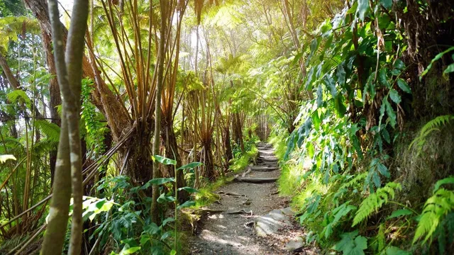 Hawaii implements new hotel tax to combat climate change