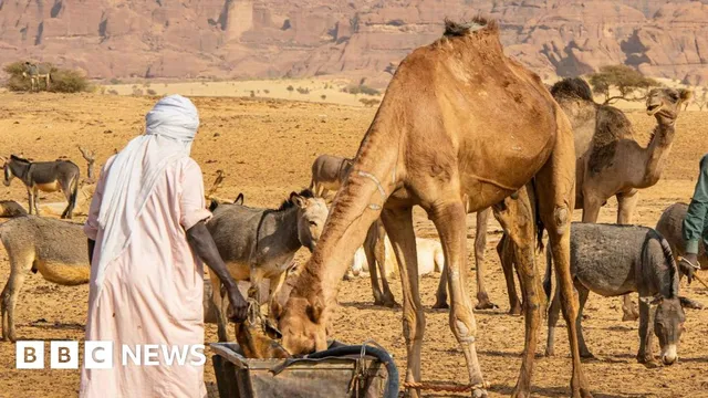 42 dead in Chad after deadly water well dispute escalates