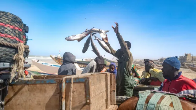 Local fishermen face displacement due to BP gas field in Senegal