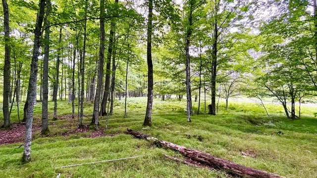 Drone technology reveals ancient farming practices in Michigan