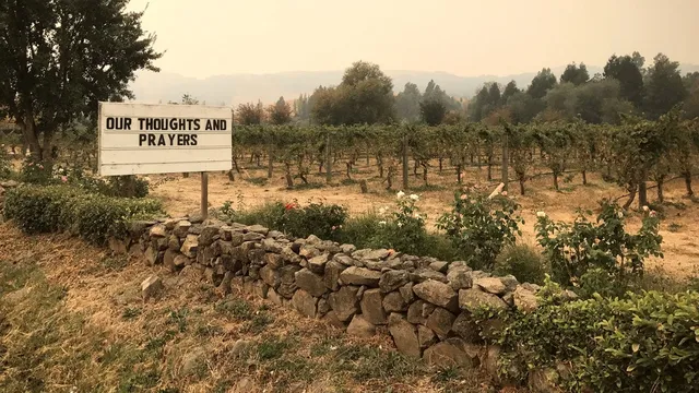 Lake Mead hits record low water levels amid Colorado River crisis