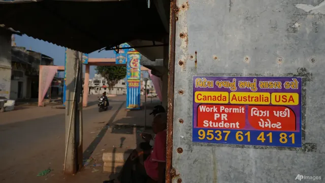 U.S. suspends Microsoft and major IT firms from green card program over alleged fraud
