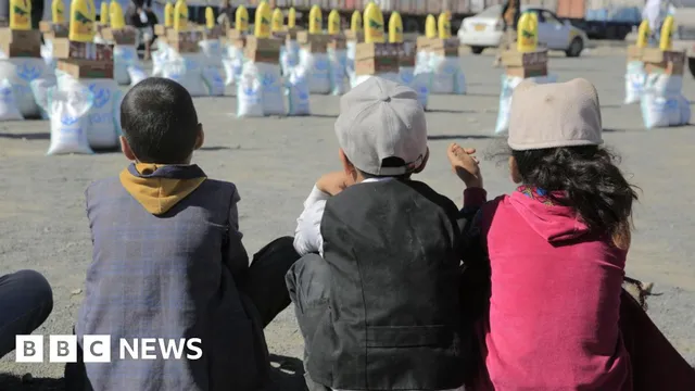 NGOs devastated as Houthis restrict aid operations in Yemen