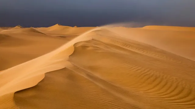 Ancient Sahara desert reveals secrets of human lineage through DNA study