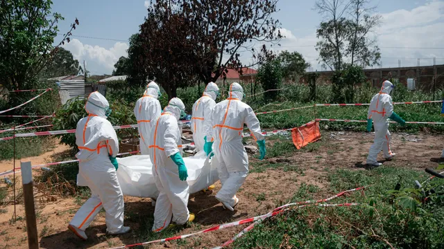 Ebola outbreak in DRC claims over 2,100 lives as it spreads to sixth province