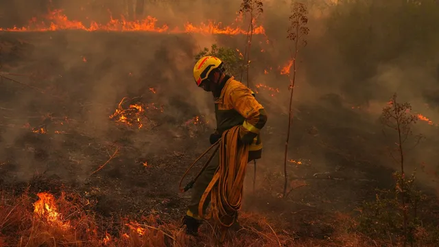Climate change fuels unprecedented wildfires in Spain and France