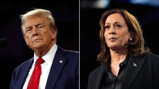 Trump and Harris prepare for historic legal battles in 2024