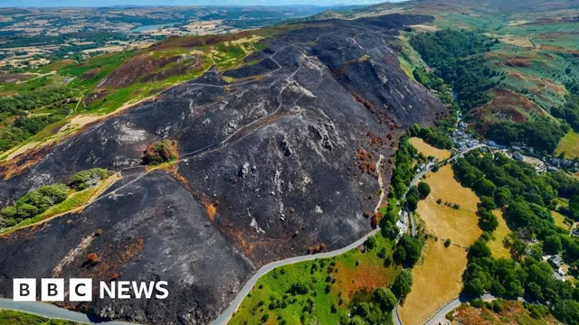 Wales faces centuries of ecological damage from devastating wildfires